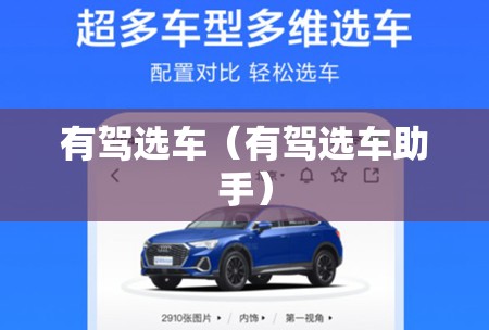 有驾选车（有驾选车助手）