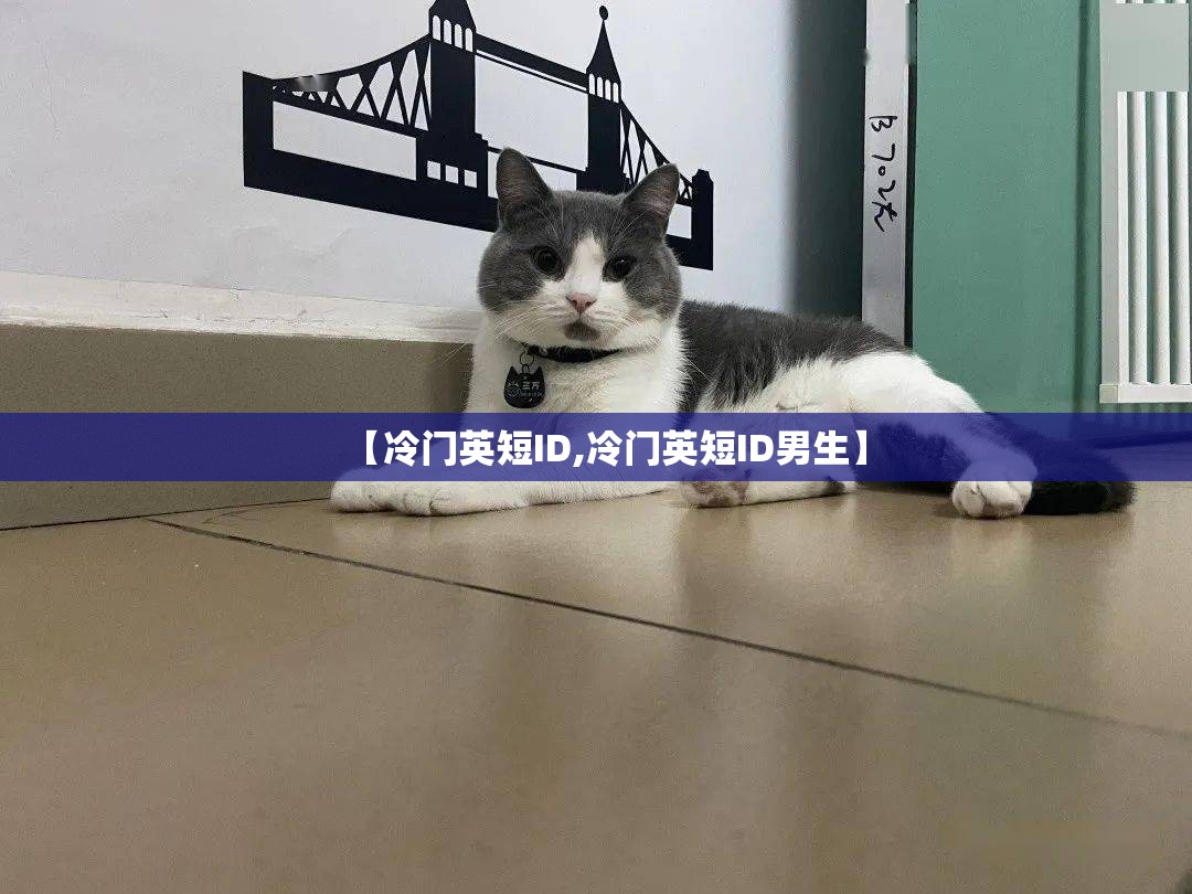 【冷门英短ID,冷门英短ID男生】