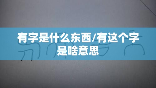 有字是什么东西/有这个字是啥意思