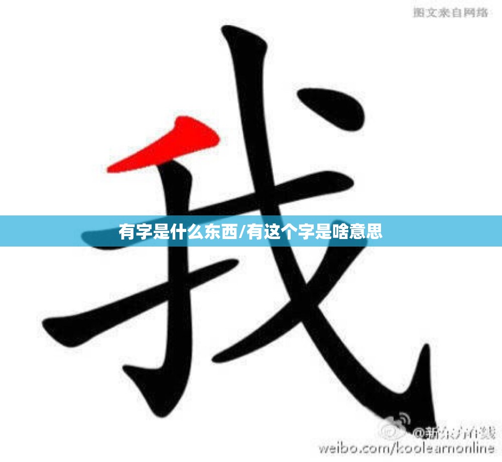 有字是什么东西/有这个字是啥意思