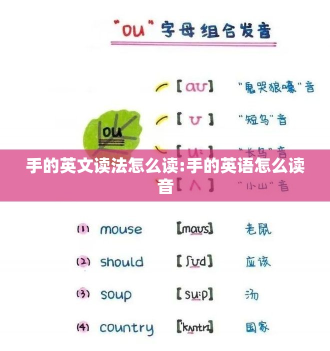 手的英文读法怎么读:手的英语怎么读音