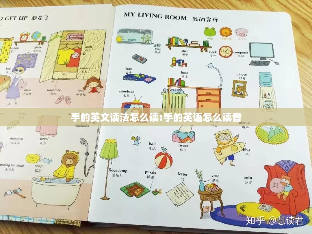 手的英文读法怎么读:手的英语怎么读音