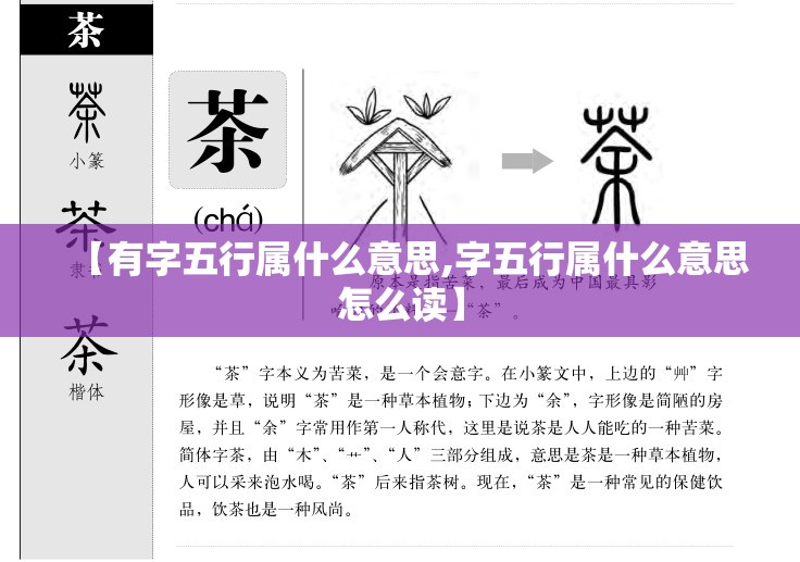 【有字五行属什么意思,字五行属什么意思怎么读】