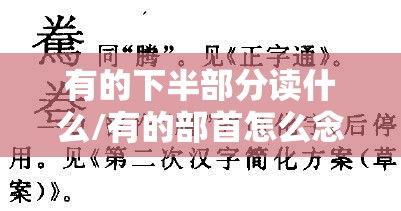 有的下半部分读什么/有的部首怎么念