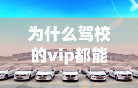 为什么驾校的vip都能一把过/驾校的vip有用吗