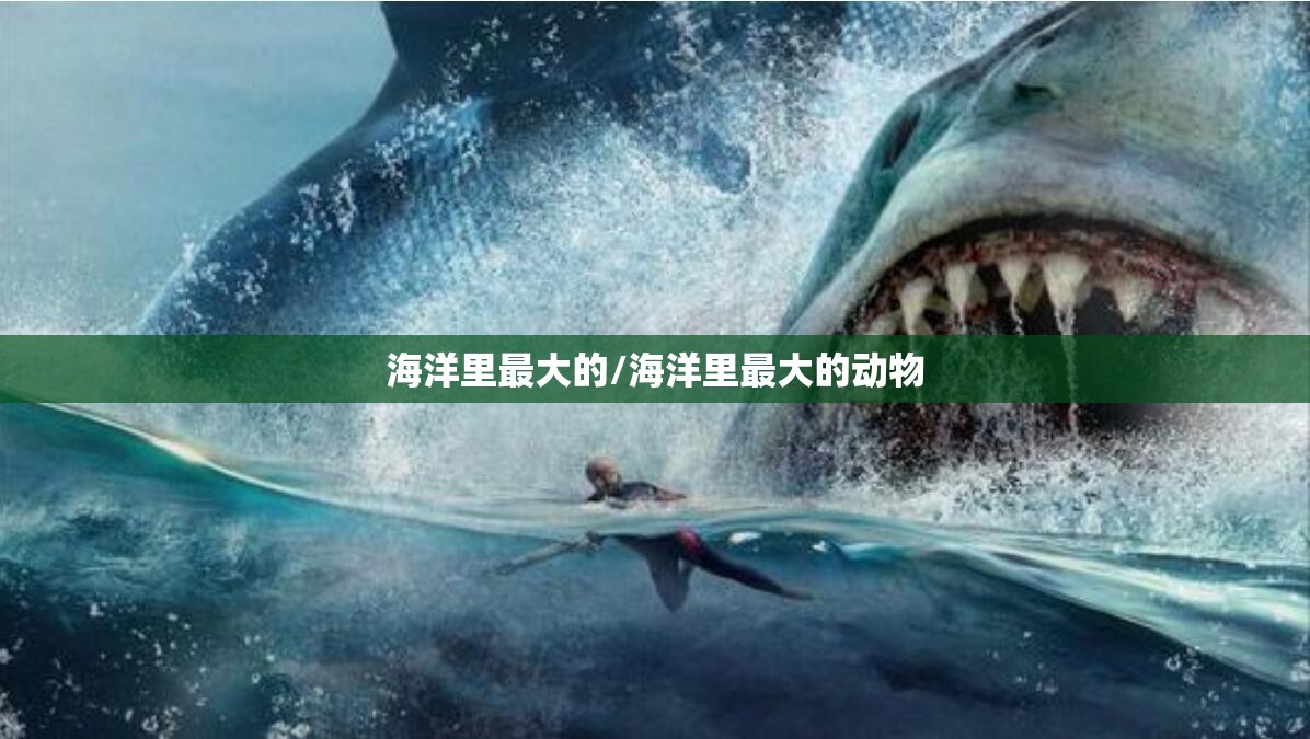 海洋里最大的/海洋里最大的动物