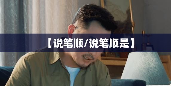 【说笔顺/说笔顺是】