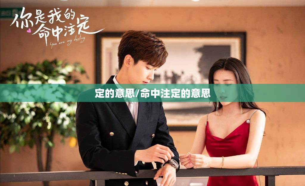 定的意思/命中注定的意思