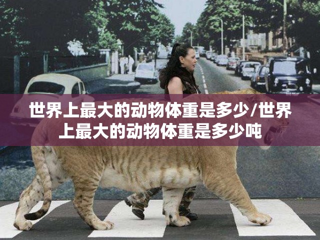 世界上最大的动物体重是多少/世界上最大的动物体重是多少吨