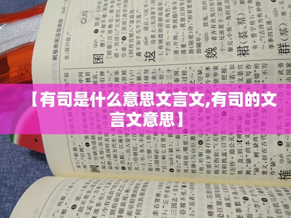 【有司是什么意思文言文,有司的文言文意思】
