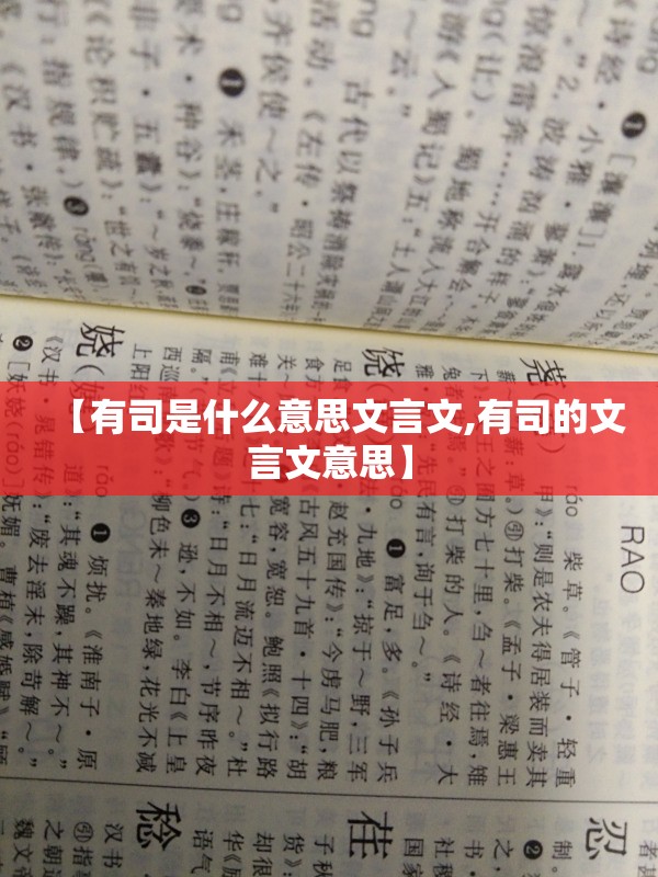 【有司是什么意思文言文,有司的文言文意思】