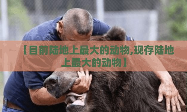 【目前陆地上最大的动物,现存陆地上最大的动物】