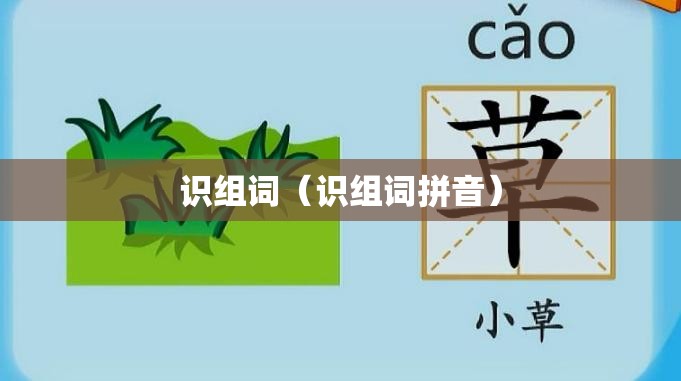 识组词（识组词拼音）