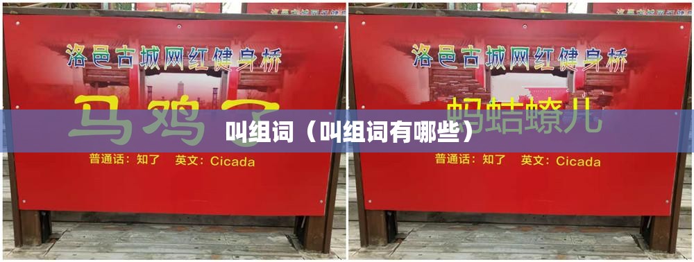 叫组词（叫组词有哪些）