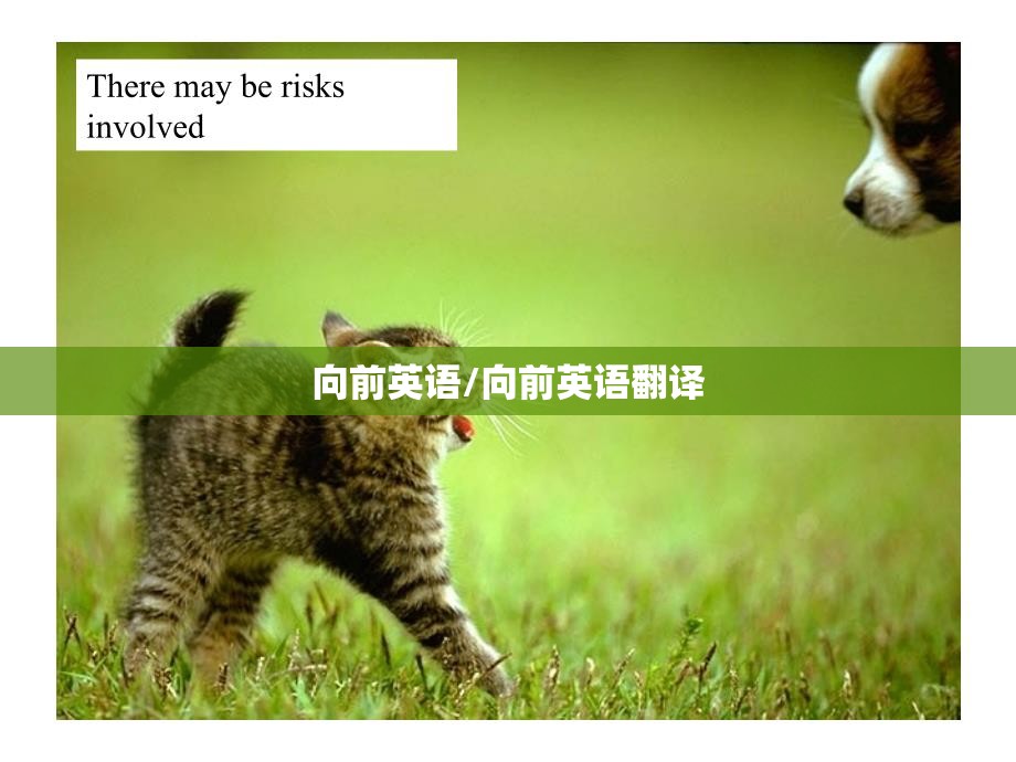 向前英语/向前英语翻译