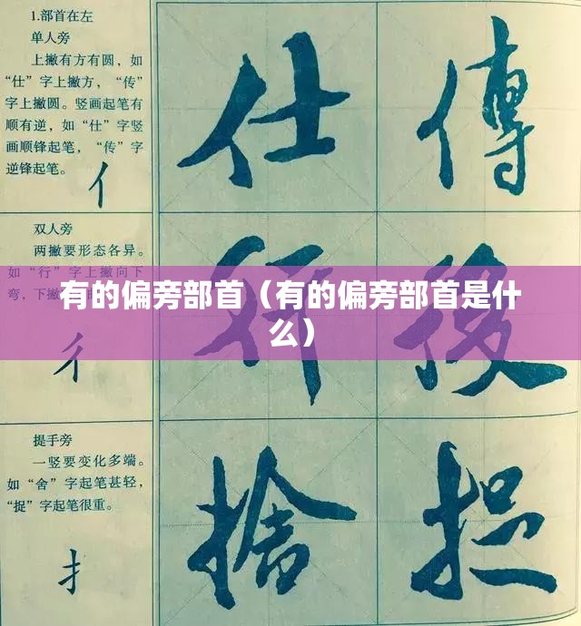 有的偏旁部首（有的偏旁部首是什么）