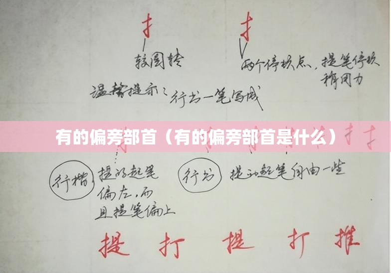 有的偏旁部首（有的偏旁部首是什么）