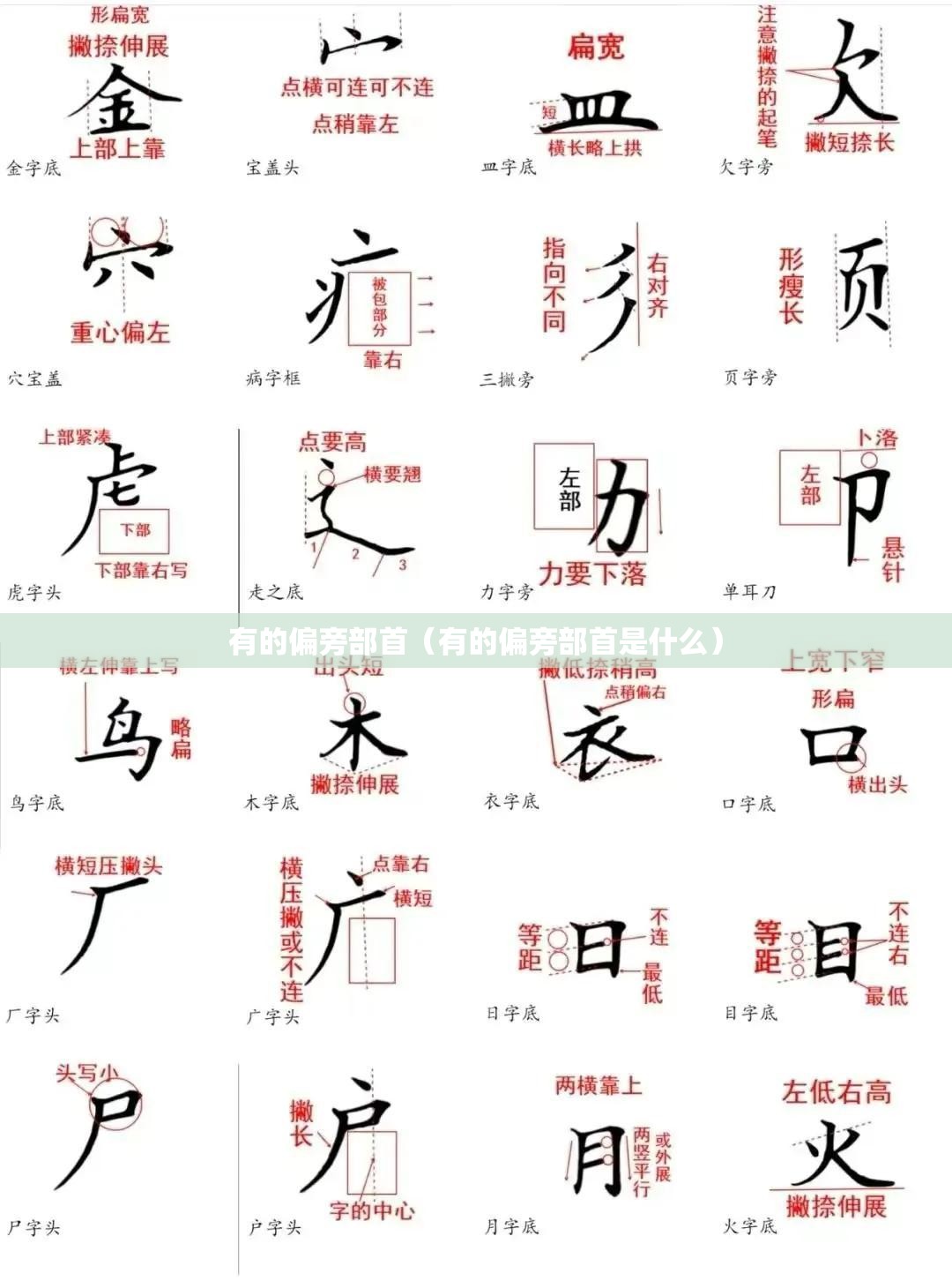有的偏旁部首（有的偏旁部首是什么）