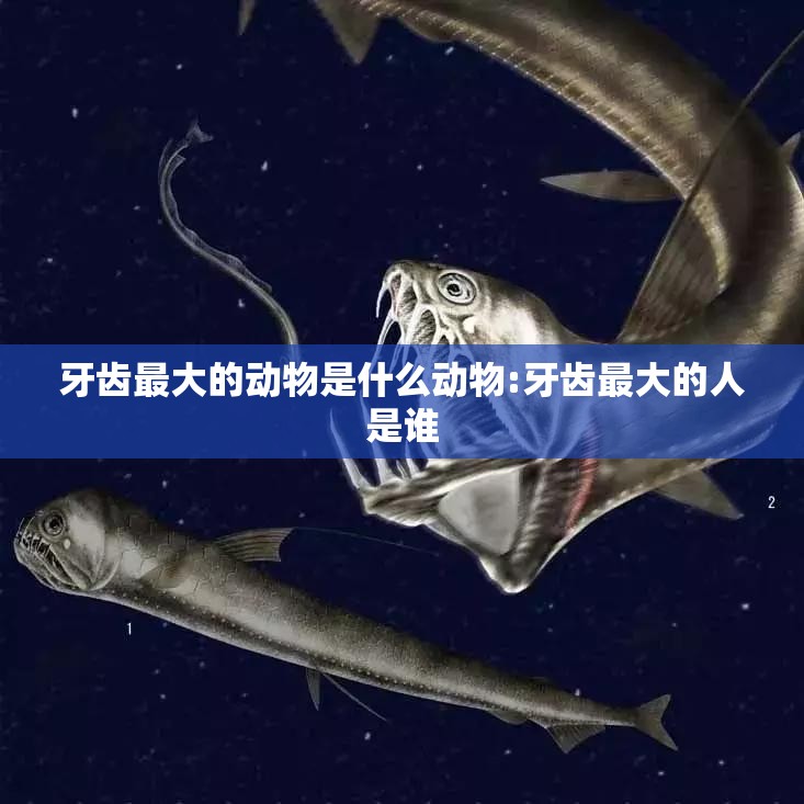 牙齿最大的动物是什么动物:牙齿最大的人是谁