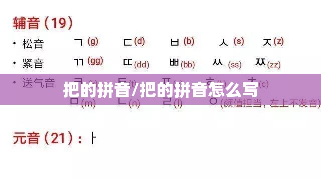 把的拼音/把的拼音怎么写