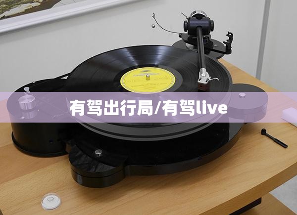 有驾出行局/有驾live