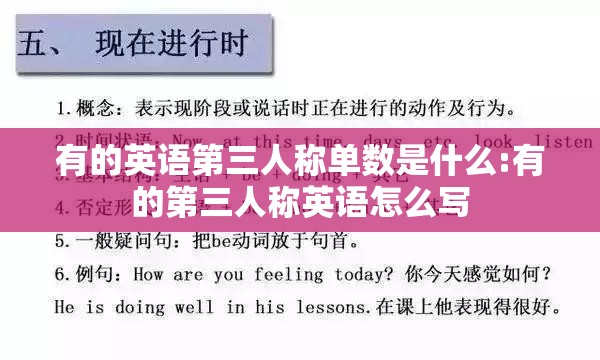有的英语第三人称单数是什么:有的第三人称英语怎么写