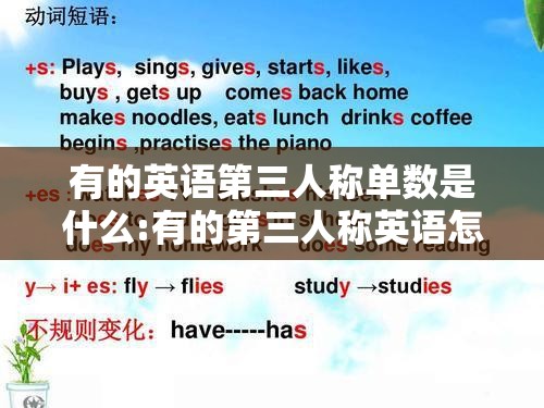 有的英语第三人称单数是什么:有的第三人称英语怎么写