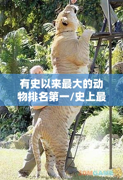 有史以来最大的动物排名第一/史上最大的动物是什么样子的