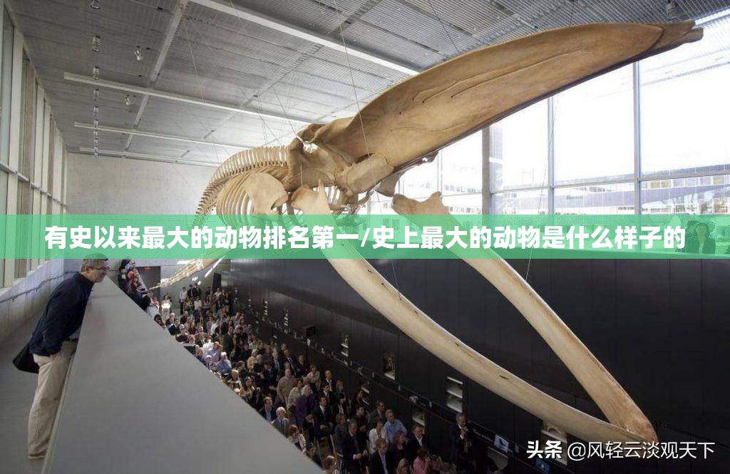 有史以来最大的动物排名第一/史上最大的动物是什么样子的