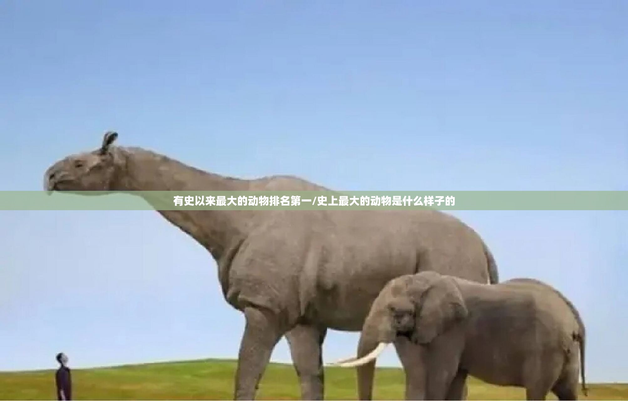有史以来最大的动物排名第一/史上最大的动物是什么样子的