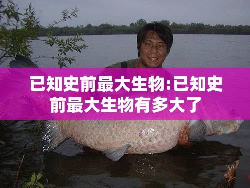 已知史前最大生物:已知史前最大生物有多大了