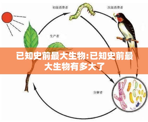 已知史前最大生物:已知史前最大生物有多大了