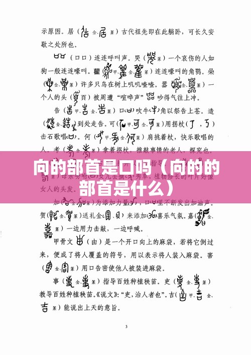 向的部首是口吗（向的的部首是什么）