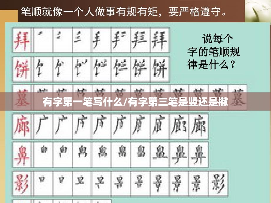 有字第一笔写什么/有字第三笔是竖还是撇