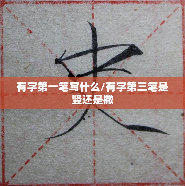 有字第一笔写什么/有字第三笔是竖还是撇