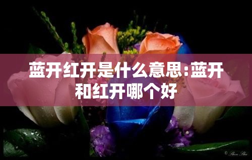 蓝开红开是什么意思:蓝开和红开哪个好
