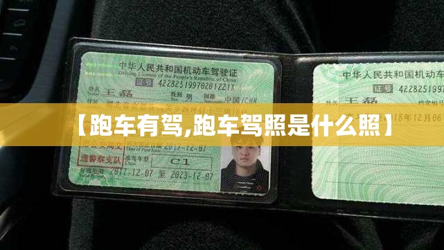 【跑车有驾,跑车驾照是什么照】