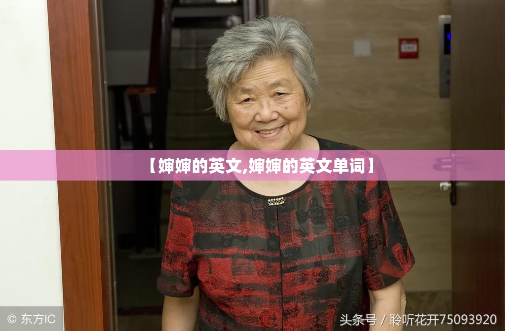 【婶婶的英文,婶婶的英文单词】