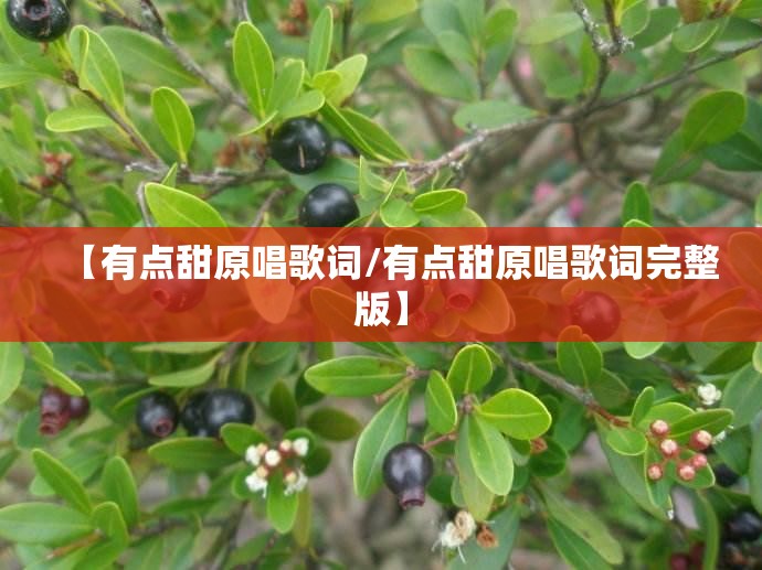【有点甜原唱歌词/有点甜原唱歌词完整版】
