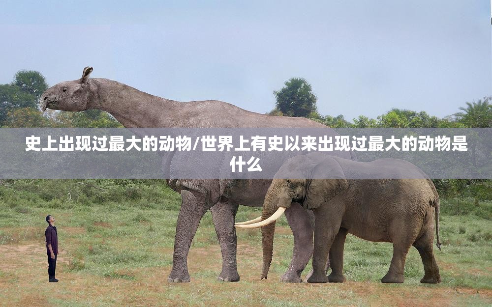 史上出现过最大的动物/世界上有史以来出现过最大的动物是什么