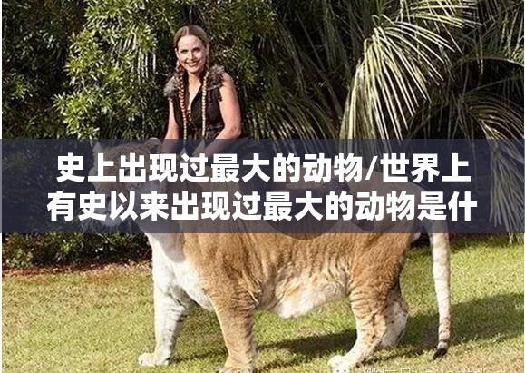 史上出现过最大的动物/世界上有史以来出现过最大的动物是什么