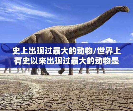 史上出现过最大的动物/世界上有史以来出现过最大的动物是什么