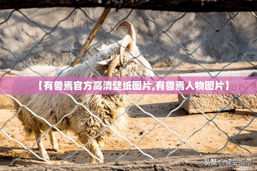 【有兽焉官方高清壁纸图片,有兽焉人物图片】