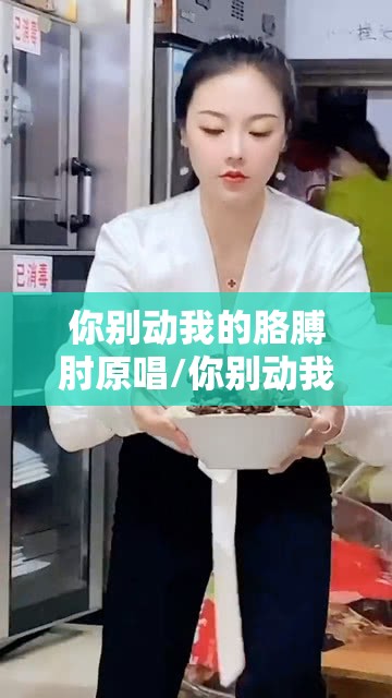 你别动我的胳膊肘原唱/你别动我的胳膊肘原唱歌词