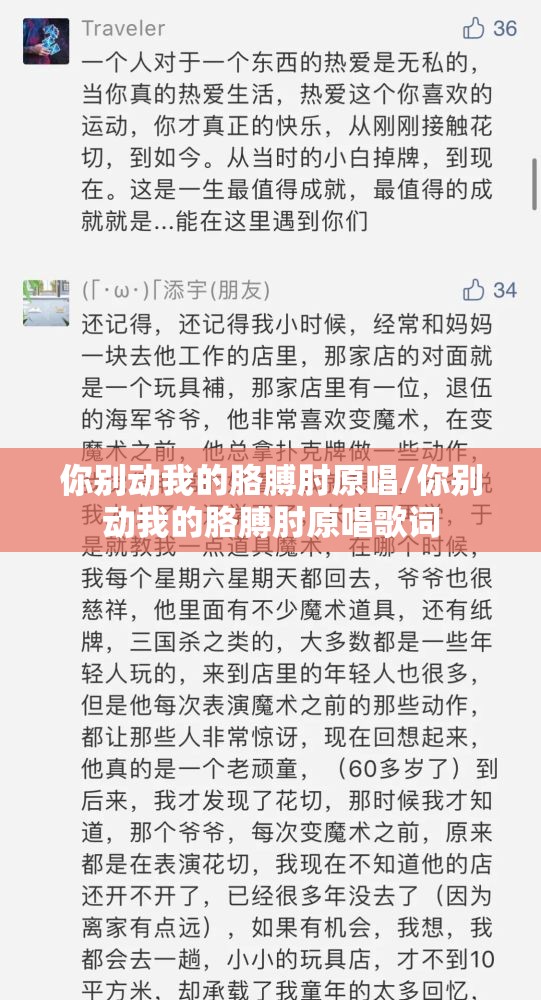 你别动我的胳膊肘原唱/你别动我的胳膊肘原唱歌词