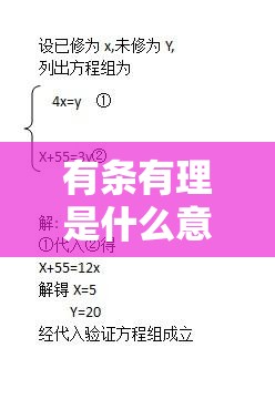 有条有理是什么意思（有条有理打一数字）
