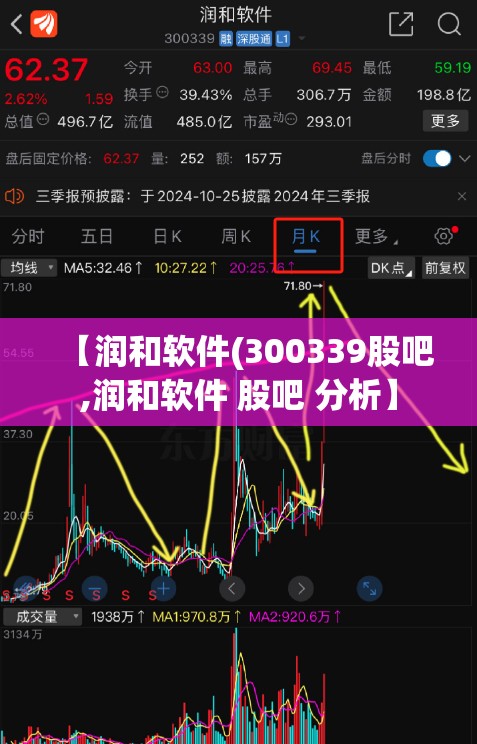 【润和软件(300339股吧,润和软件 股吧 分析】