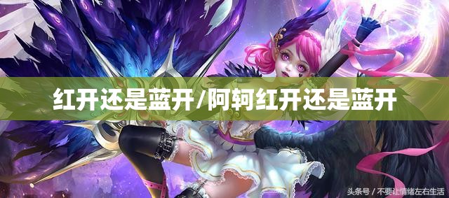 红开还是蓝开/阿轲红开还是蓝开