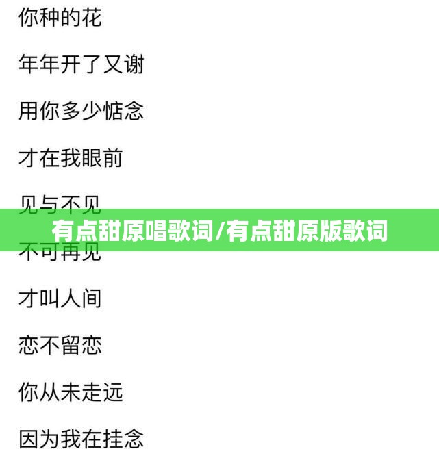 有点甜原唱歌词/有点甜原版歌词