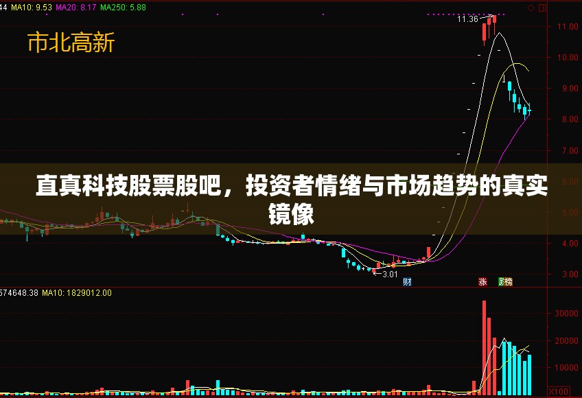 直真科技股票股吧，投资者情绪与市场趋势的真实镜像